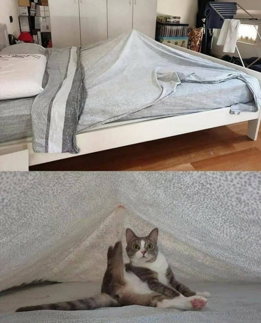 A Tent