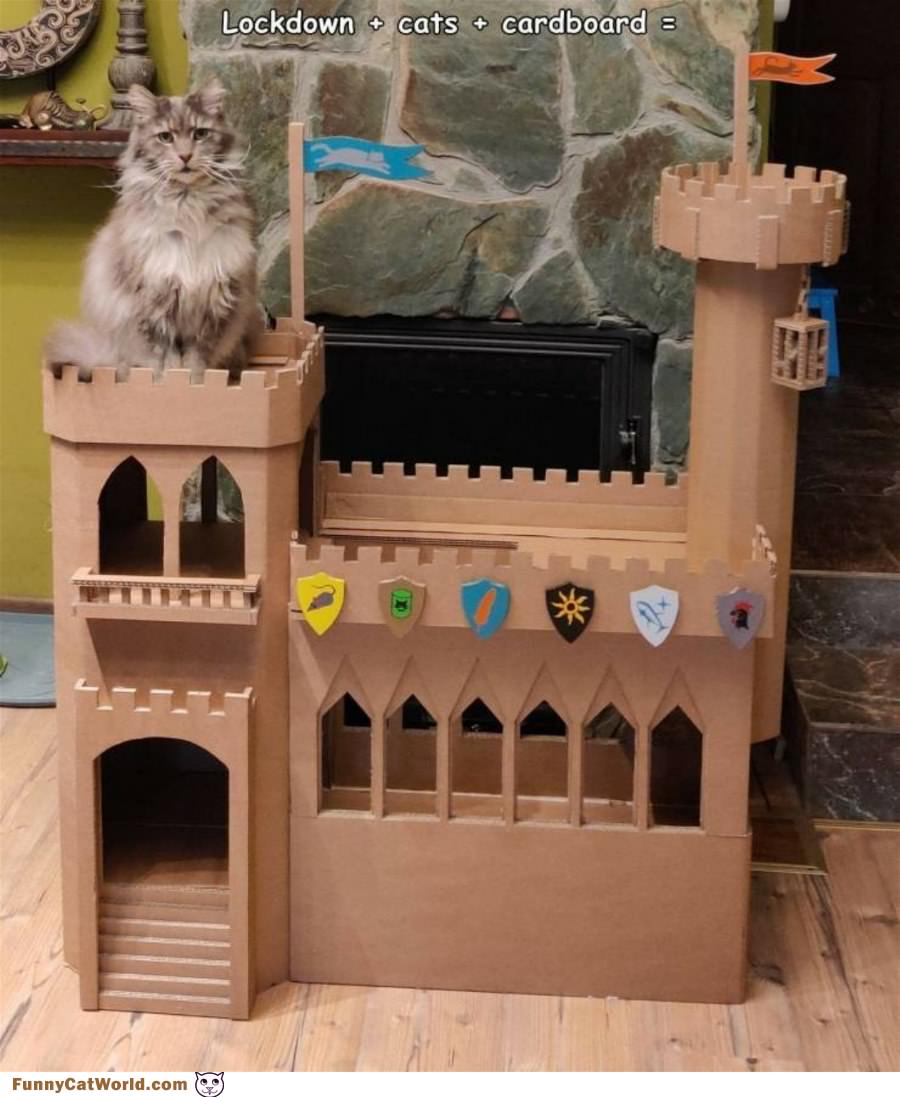 This Is My Castle